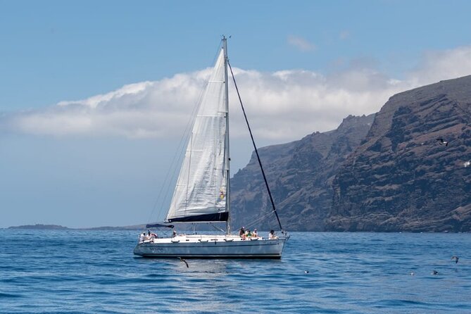 3-Hour Cetacean Watching and Snorkeling Tour in Tenerife - Good To Know