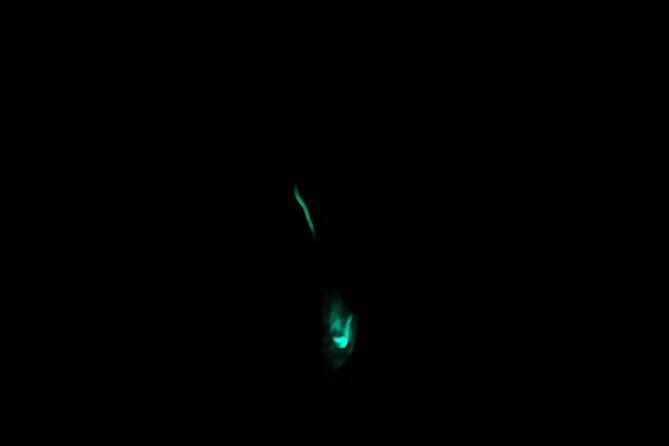 3 Hour Glow Worm Sunset Cruise From Providenciales - Bioluminescent Glow Worms: A Natural Phenomenon