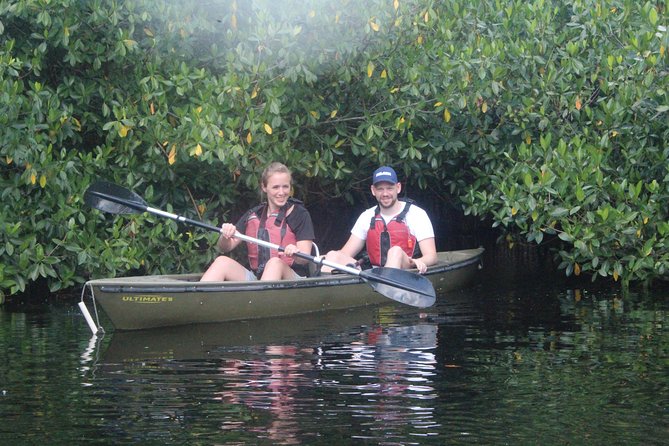 3 Hour Guided Mangrove Tunnel Kayak Eco Tour - Good To Know