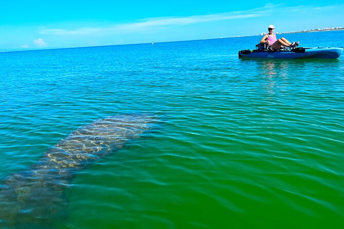3 Hour Hobie Kayak Adventure In Bonita Springs