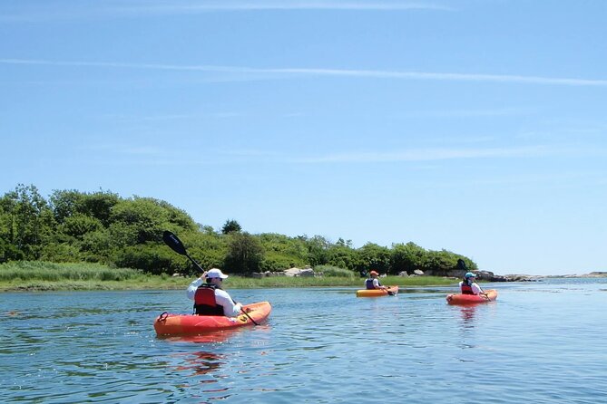 3 Hour Kayak/SUP Rental in Biddeford Pool