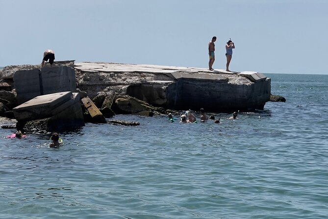 3 Hour Snorkeling, Shelling in St. Petersburg, FL, (Private Boat) - Good To Know