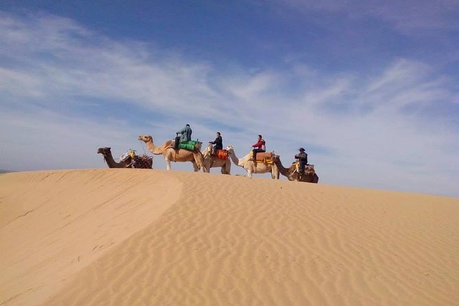 14 Best 3 Hour Tours and Experiences in Essaouira