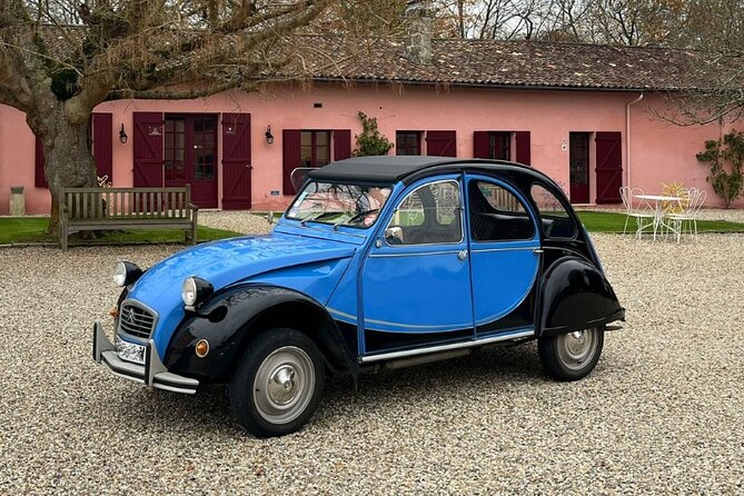 3 Hours Private Wine Tour for Christmas in Bordeaux - Private Guide for Personalized Experience
