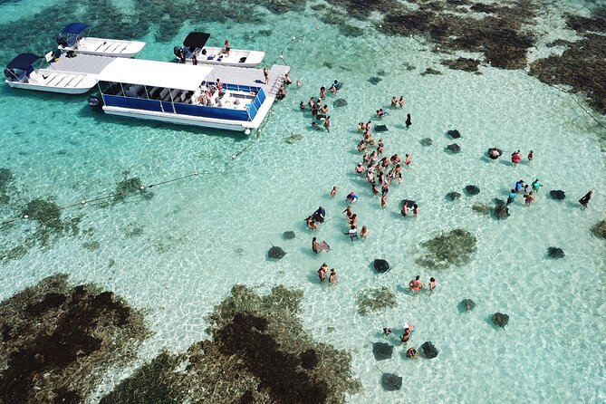 3-Hours Snorkeling Activity in Stingray City - Good To Know