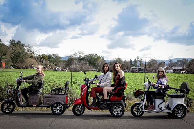 3 Hr Guided Wine Country Tour in Sonoma on Electric Trike (2 Person Min) - Good To Know