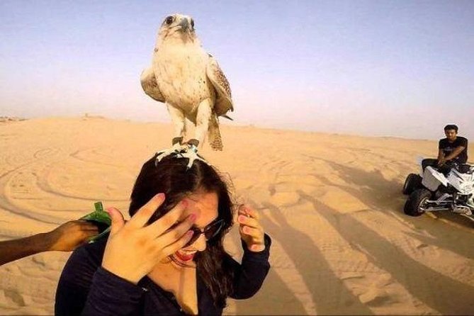 3 in 1 Package Sale (City Tour-Safari-Dinner Cruise) Private & Custom Tours - Inclusions and Services