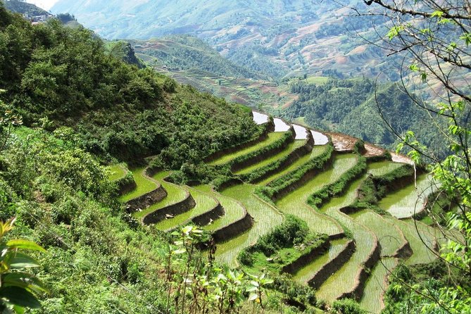 3-Night Sapa Trekking Tour From Hanoi - Pricing and Guarantee
