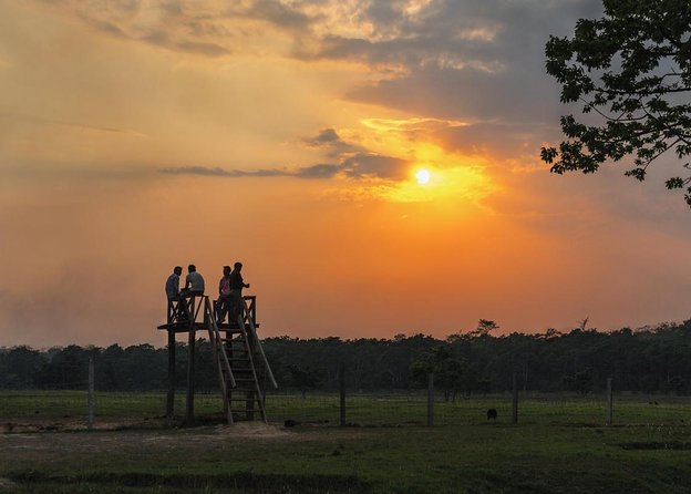 3 Nights 4 Days Chitwan National Park With Tower Night Stay - Good To Know