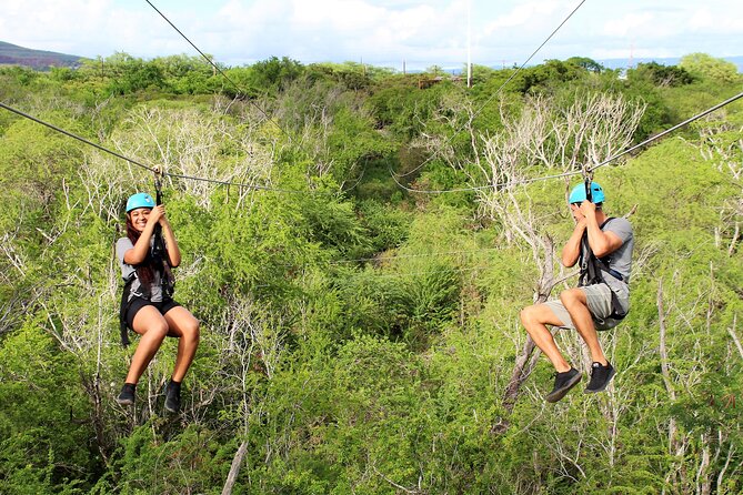3 Ziplines With Waikiki Transportation