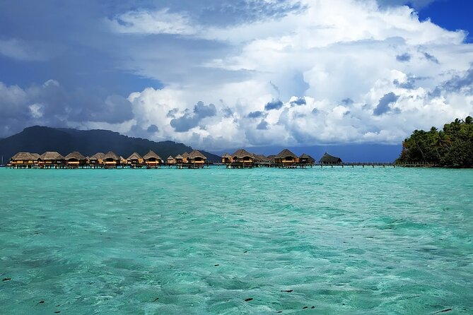 1/2 Day Tahaa Coral Garden - Departure Raiatea / Ideal for Cruise Passengers - Snorkeling Experience and Challenges