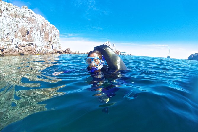 1 Day Espiritu Santo Island Wonders, Sea Lions and Paddleboard Adventure - Cancellation Policy