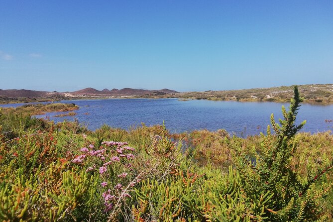 1 Day Hiking Adventure in Isla Lobos - Additional Information