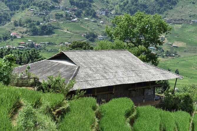1-Day Private Trekking in Sapa Through Terraces Rice Fields - Pricing