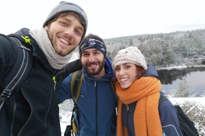 1-Day Small-Group Stockholm Nature Winter Hiking - Serene Nature Experience