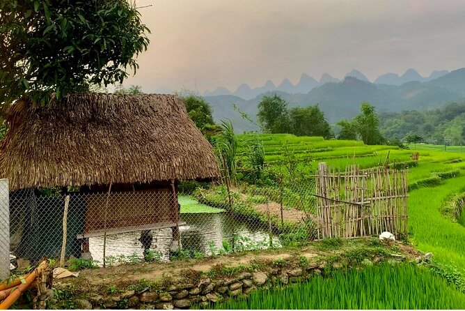 1 Day Trekking Tour in Ha Giang With Local Experts - Reviews