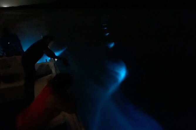1-Hour Bioluminescent Boat Tour in Mosquito Bay, Vieques - Safety Measures and Equipment