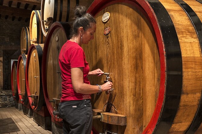 1-Hour Experience With Brunello. Visit to the Vineyard and Cellar - Professional Guide