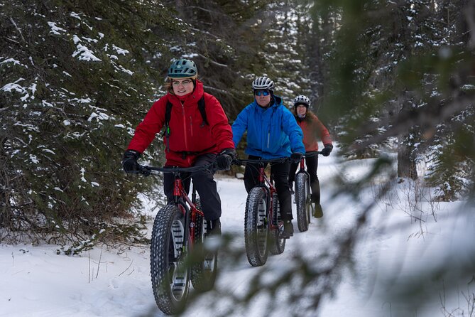 1-Hour Guided Group Fat Bike Tour - Meeting and Pickup