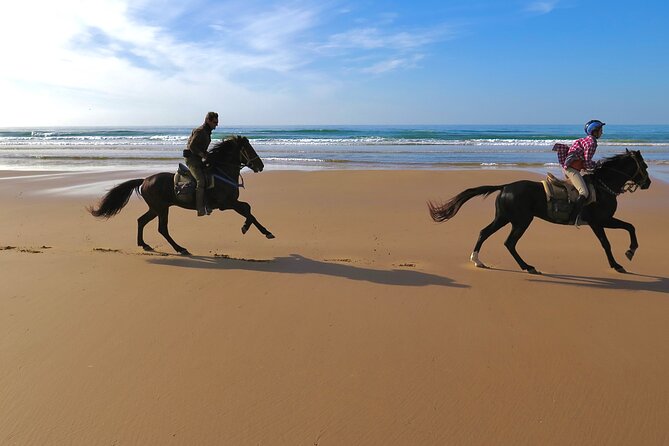 1 Hour Horse Ride on the Beach of Essaouira - Inclusions