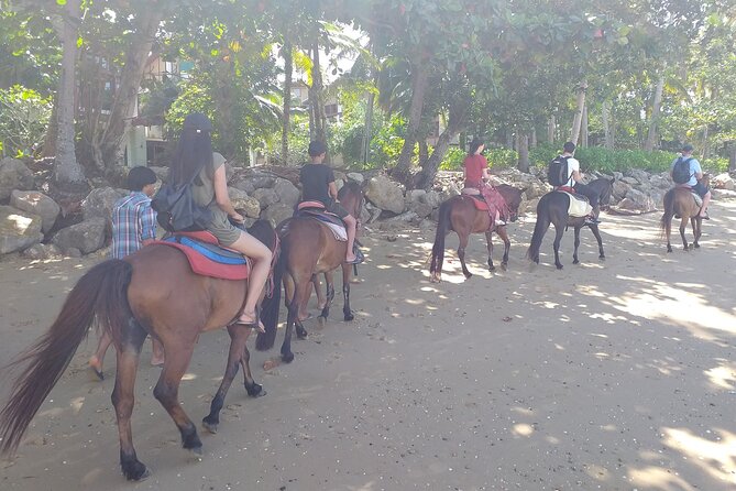 1 Hour Horse Riding Tour On The Beach Krabi - Cancellation Policy