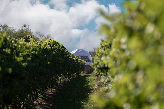 1 Hour Private Vineyard Dome Experience in Niagara-on-the-Lake - Cancellation Policy
