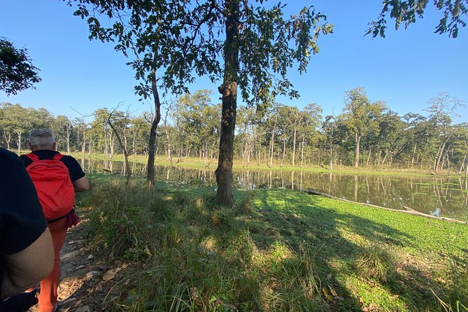 1 Night 2 Days Chitwan Safari Tour - Wildlife Spotting and Nature Guide