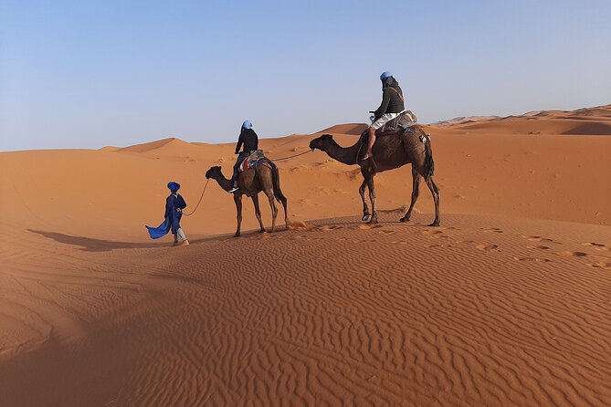 1 Night Camel Trekking in Merzouga - Reviews and Ratings