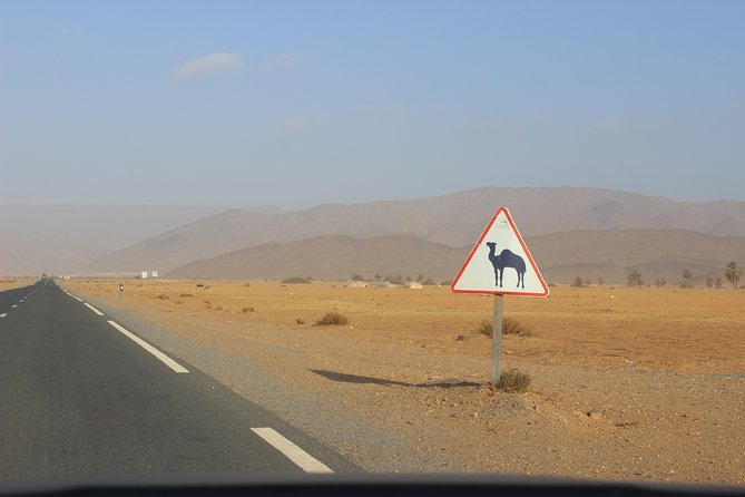 1 Night in Desert From Agadir - Review Examples and Traveler Testimonials