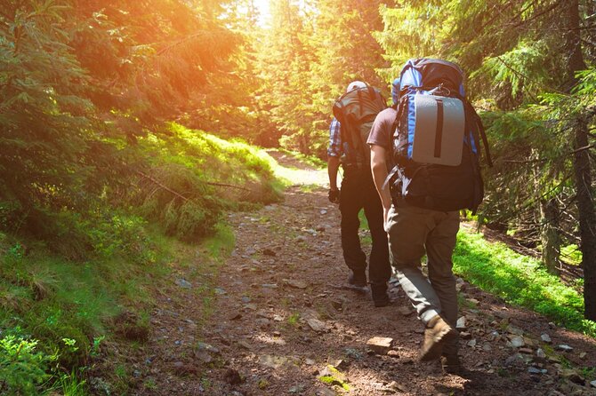 10 Hours Private Hiking in Khao Yai National Park From Bangkok - Transportation and Pick-Up