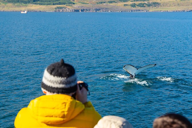 100% Whale Watching - Cancellation Policy and Refunds