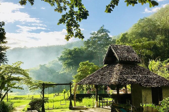 2-Day Chiang Mai - Trekking in Mae Kampong Village - Highlights of the Mae Kampong Village Experience