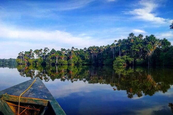 2-Day Jungle Tour: Lake Sandoval, Monkey Island, Hikes, Caiman, & Clay Lick - Questions and Help