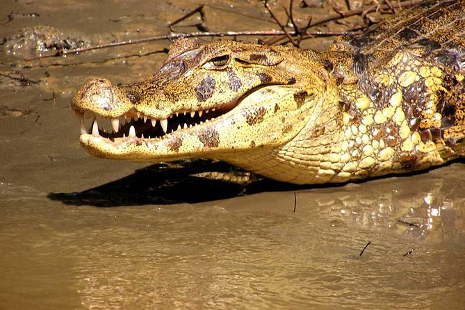 2-Day Peruvian Tambopata Jungle Small Group Experience  - Puerto Maldonado - Pricing and Booking Information