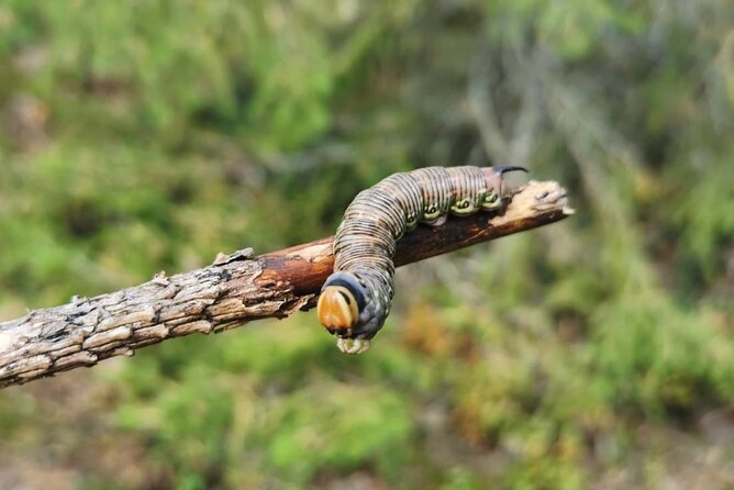 2-Day Small-Group Basic Skills Survival Course in Södermanland - Booking Confirmation