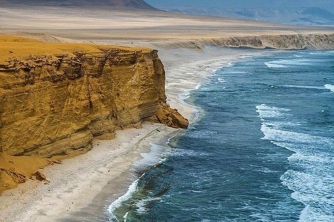 2 Day Tour From Lima: Paracas, Ballestas Island and Huacachina - Visit to the Oasis of Huacachina