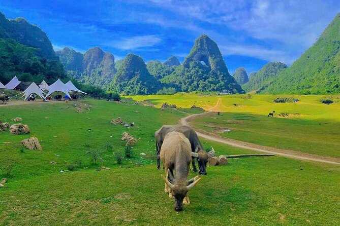 2 Day Tour in Ban Gioc Waterfalls From Hanoi - Booking Information