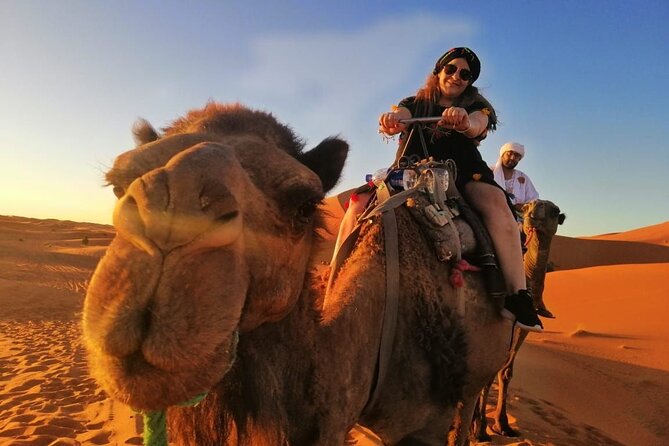 2 Days Private Luxury Excursion to Merzouga Desert From Fez - Booking and Pricing Information