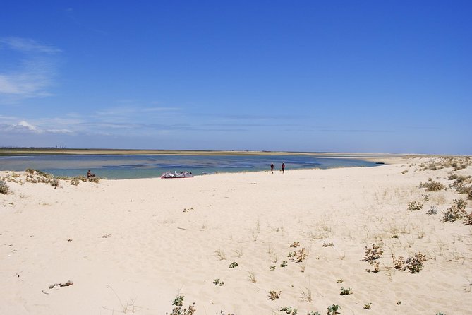 2-Hour Bird Watching Guided Boat Trip in Ria Formosa From Faro Algarve - Alternative Options and Customer Satisfaction