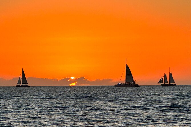 2 Hour Dolphin and Sightseeing Tour in Shell Island - Positive Experiences and Pricing Information