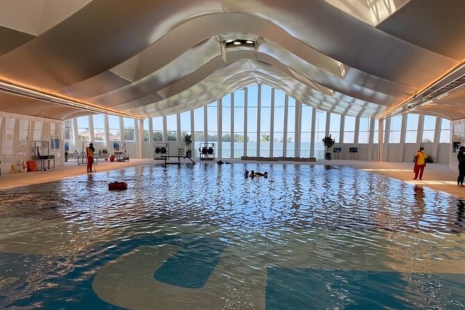 2-Hour Freediving Lesson in Dubai (Breath-Hold Diving) - Meeting and Pickup Details