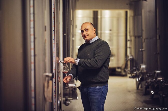 2-Hour Guided Tasting of 5 Wines in Sorrento - The Sum Up