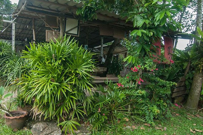 2 Hour Horse Riding Tour On The Beach Krabi - Tour Requirements
