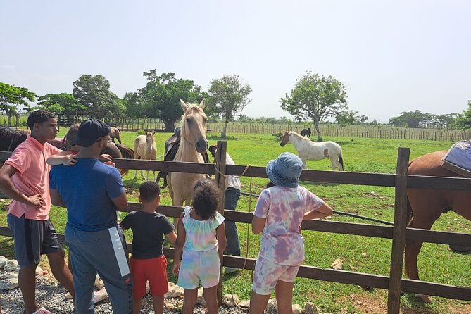 2-Hour Horseback Riding Tour at Sunset From Punta Cana - Booking Information and Cancellation Policy
