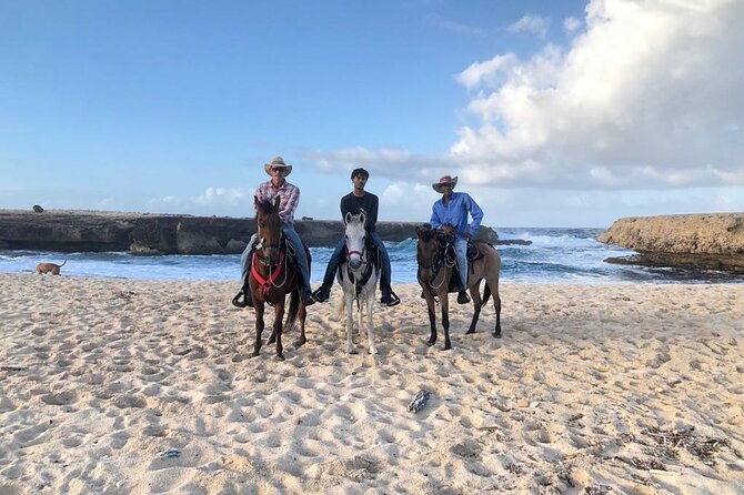 2-Hour Horseback Riding Tour to Little Natural Bridge in Aruba - Negative Experiences