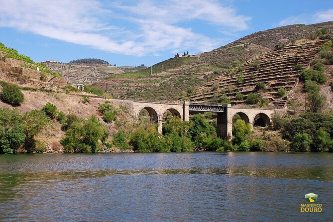 2-Hour Rabelo Boat Tour in Pinhão - Meeting Point and Pickup Information
