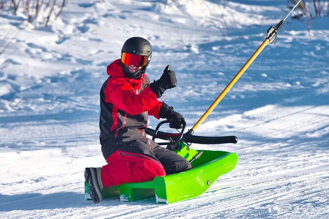 2-Hour Racing Toboggan at Dagali Fjellpark Near Geilo in Norway - Highlights and Features of the Racing Toboggan