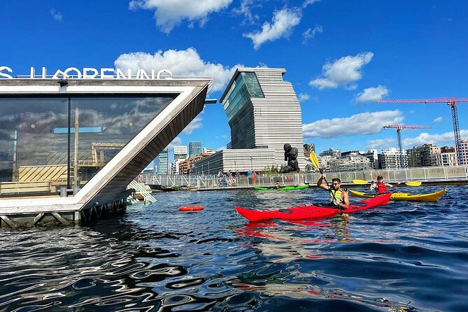 2 Hour Sea Kayak Tour on Oslofjord From Central Oslo - Experience Highlights