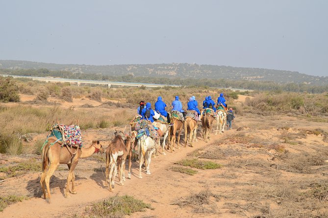 2-Hour Walks to Discover Essaouira - Cancellation Policy