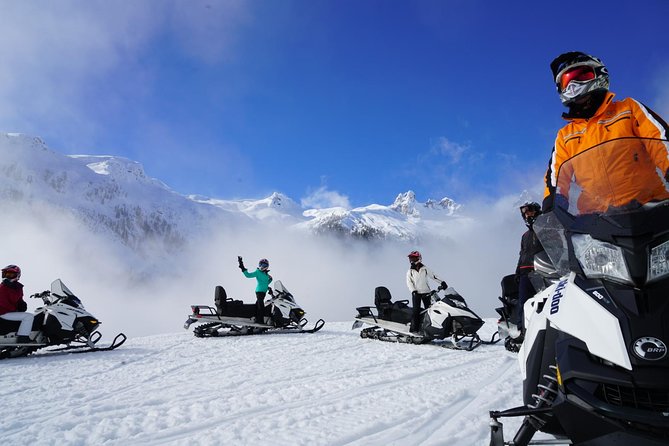 2 Hour Wilderness Adventure Snowmobile Tour - Tour Overview